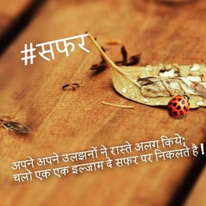 short hindi liners